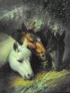 Horses munching