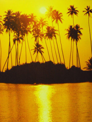 Sunset Palms Mini Poster