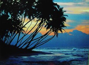 Tropical Sunset Poster
