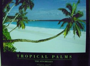 Tropical Palms