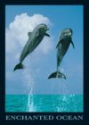 Dolphin Enchanted Ocean Poster