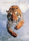 Tiger - Running Wild