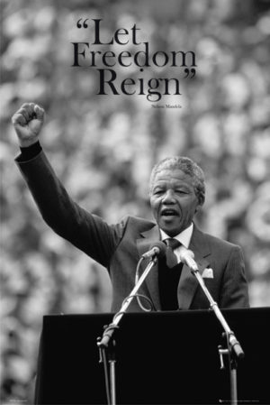 Nelson Mandela Speech Poster
