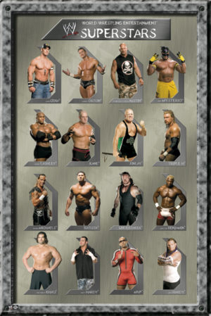 WWE Superstars Poster