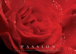 Passion Rose Poster