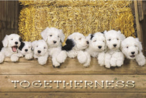 Togetherness
