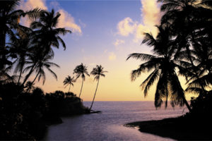 Hikkaduwa Beach Sri Lanka Poster