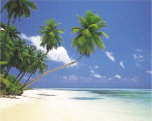 Maldive Morning