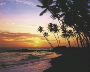 Maldive Evening