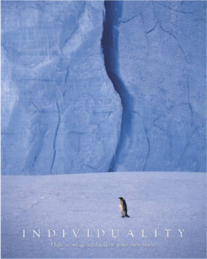 Penguin Individuality Mini Poster