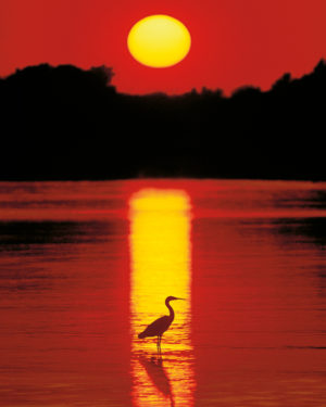 Sunset in the Florida Keys Mini Poster