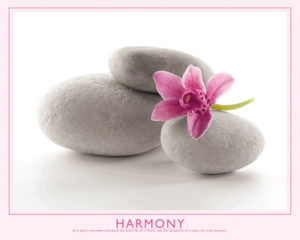 Harmony Pink Orchid and Stones Mini Poster