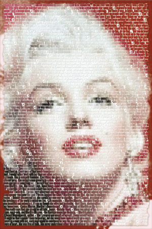 Marilyn Monroe Written Images Poster