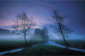 In Dreams
