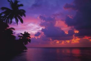 Maldive Mood