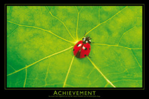 Achievement Ladybug Ladybird Poster