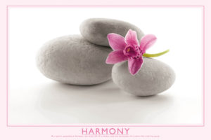 Harmony Pink Orchid and Stones Poster