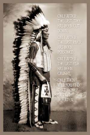 Native American White Cloud Speaks Poster