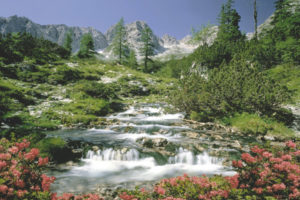 Mountain River Poster