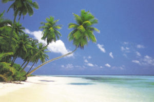 Maldive Morning