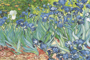 Vincent Van Gogh - Irises Poster