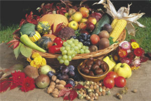Autumn Fruit Poster