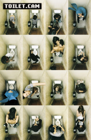 ToiletCam
