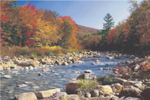 Autumn Brook