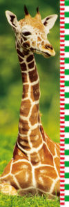 Giraffe Growing Up Slim Poster