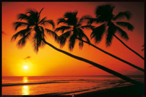 Beach Evening Poster