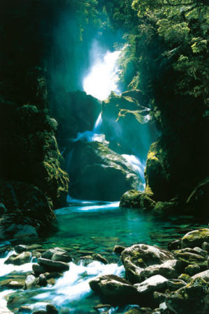 New Zealand Waterfall Poster