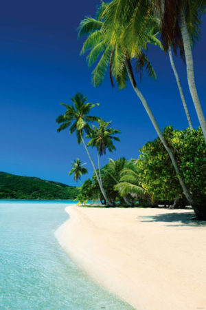 Bounty Beach Poster