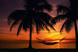 Hammock Sunset Poster