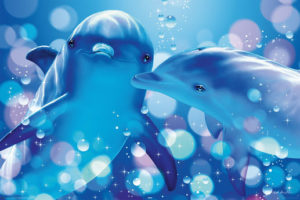 Lassen - Dolphins Kissing Poster