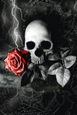 Skull Rose