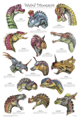 Weird Dinosaurs Poster