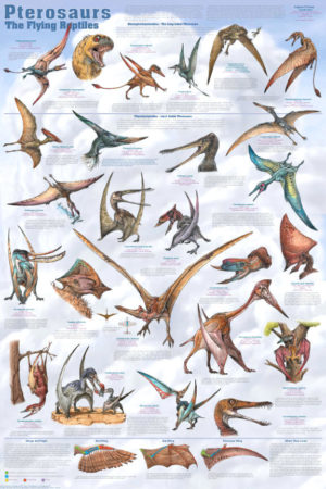 Pterosaurs The Flying Reptiles