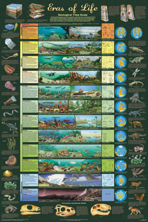 Eras of Life Geological Time Scale Poster