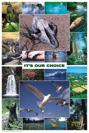 It's Our Choice Ecology Poster