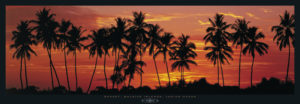 Island in the Sun Photographic Print