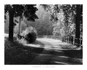 Path Into The Woods Photographic Print
