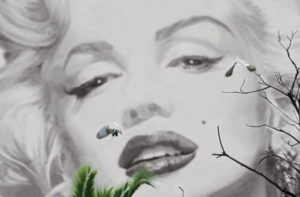 Marilyn Monroe In Cannes Giant Art Print