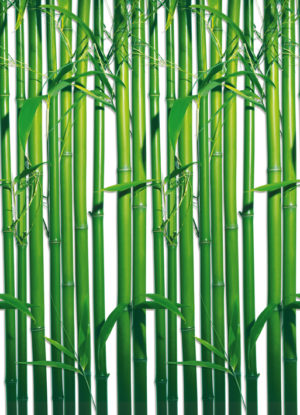 Bamboo Mural 4 PART