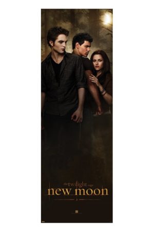 Twilight New Moon Edward, Bella And Jacob Door Poster