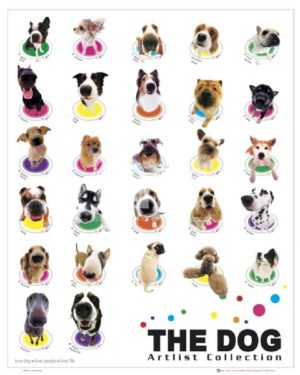 The Dog Colours Artlist Collection Mini Poster
