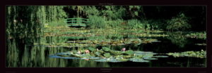 Nympheas Water Lilies In Giverny Photographic Print