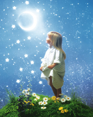 La Nuit Enchantee