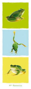 Tree Frogs Triptych Photographic Print