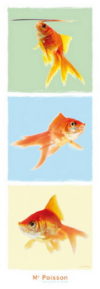 Goldfish Triptych Photographic Print