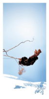The Swing Photographic Print